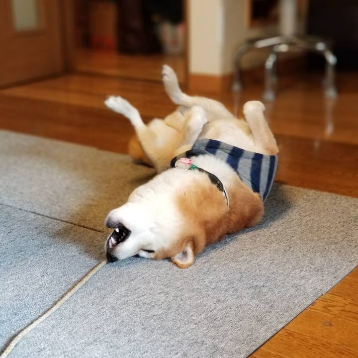 D5b9b77b cbd3 421d a805 742256efb8d8 1510614839749