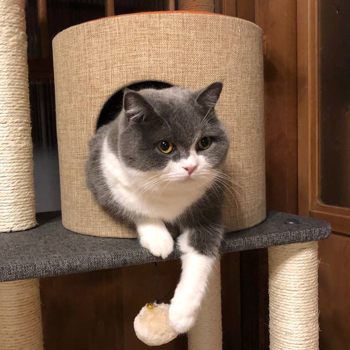 D5b9b9a8 4e9d 4cee 9239 4c0264eadd57 1580957213415