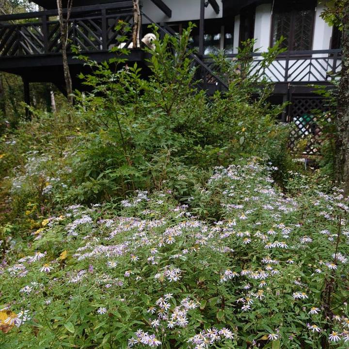 D5ba4ae6 c058 4a05 ab43 d44d3ff5cd63 1757760108422