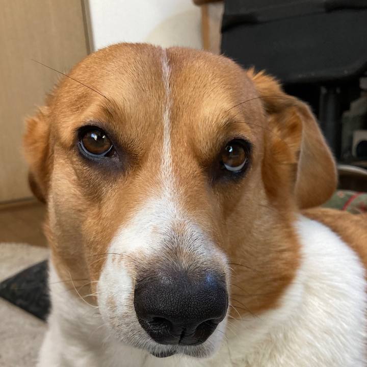 D5ba668a 0ea8 41f2 8424 200b7e1a17b9 1697341210814