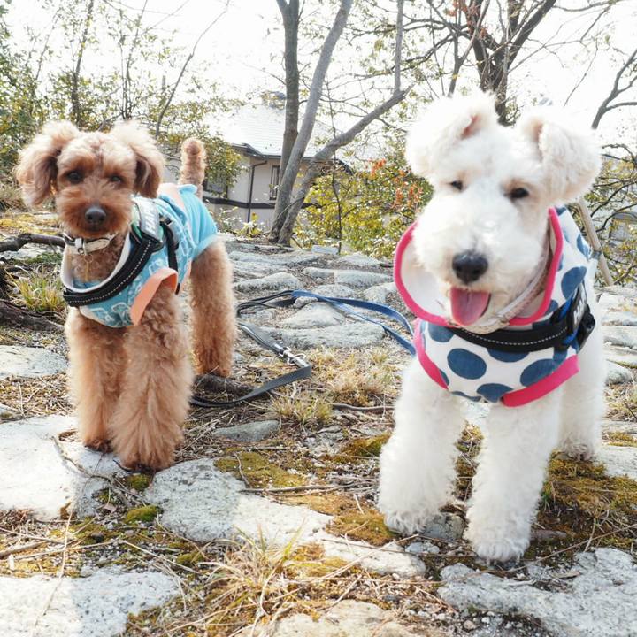 D5baa5e5 71de 4507 8b07 0fbabb3f5fa6 1519447709101