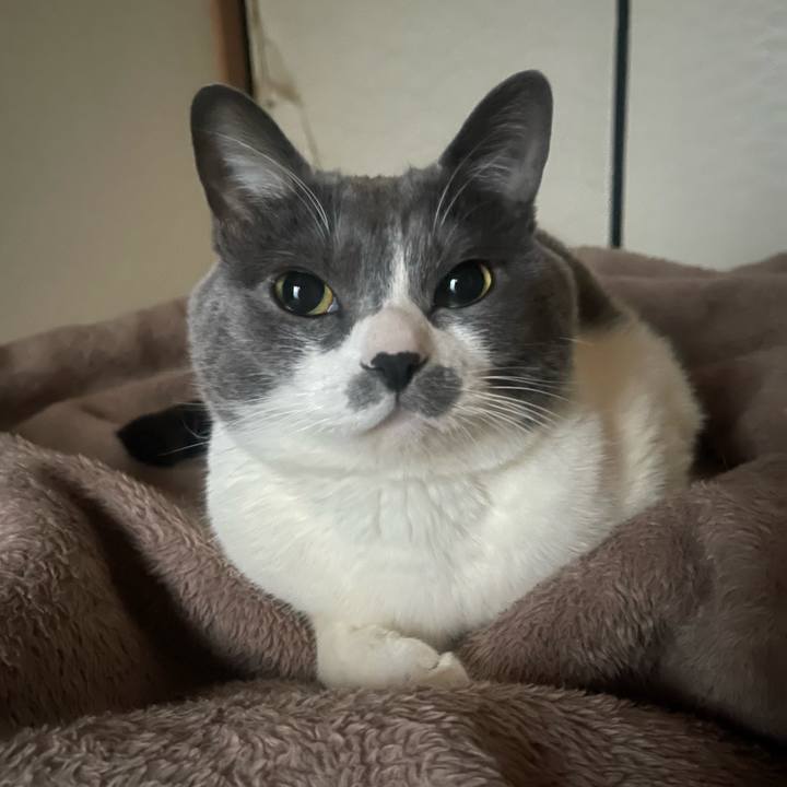 D5babf54 4f3c 48d7 92aa fe68f2e39d6e 1740174087470