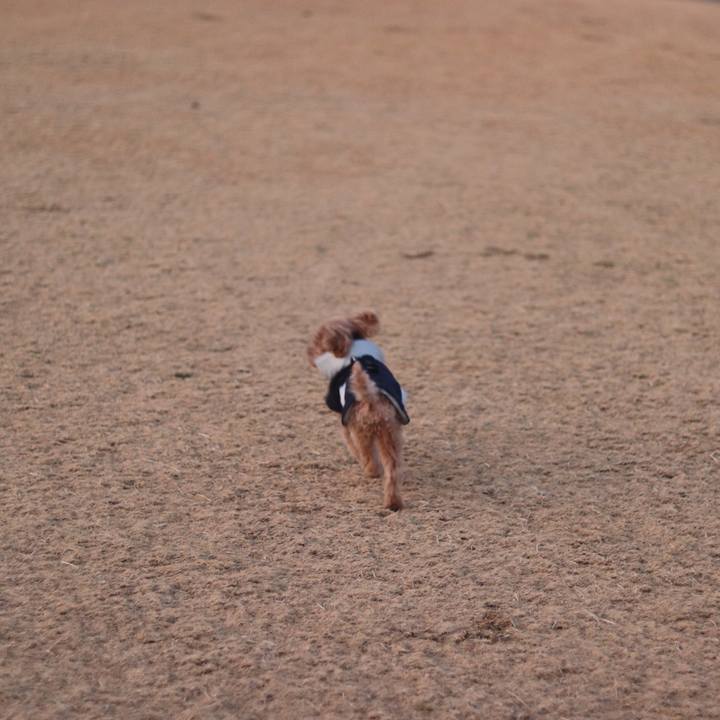 D5bb3507 aa88 4b7e 84d2 f260a2e3a279 1546702103106