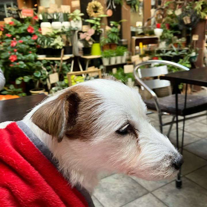 D5bb6161 15e3 4cee a3ce fdda40a01e7c 1668898097317