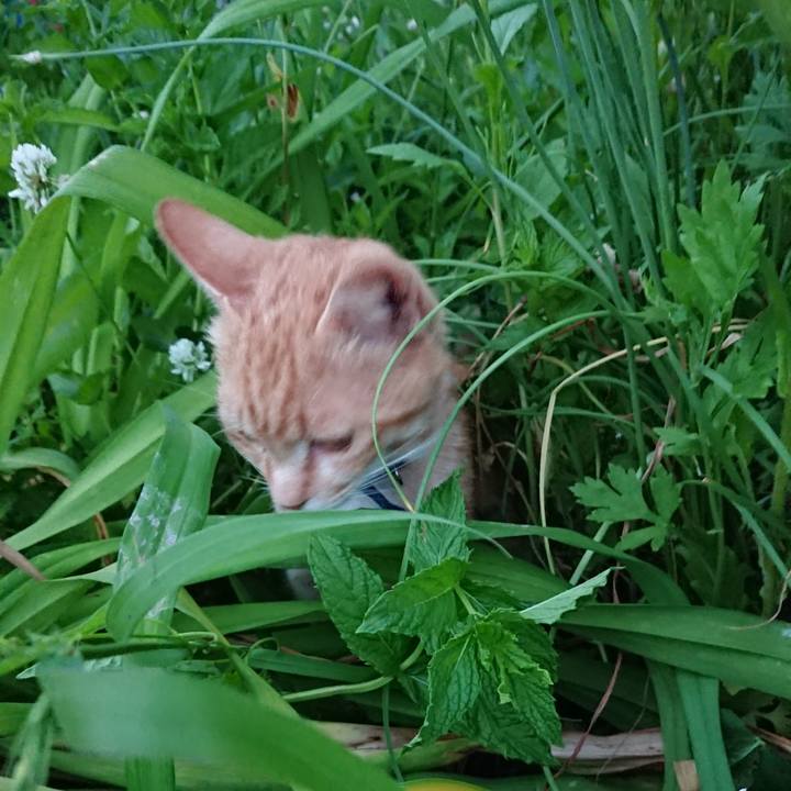 D5bba01f 147f 4ca6 b2f3 e88b52d85f1e 1559556744587