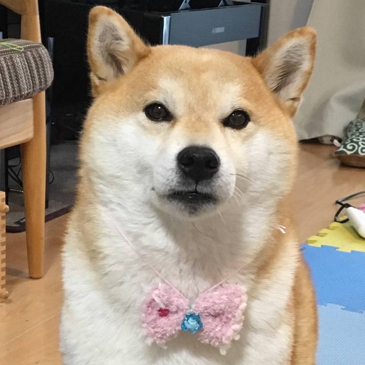 D5bba4b3 4bfb 45eb 86dd c1ec68a11bdb 1551339795701