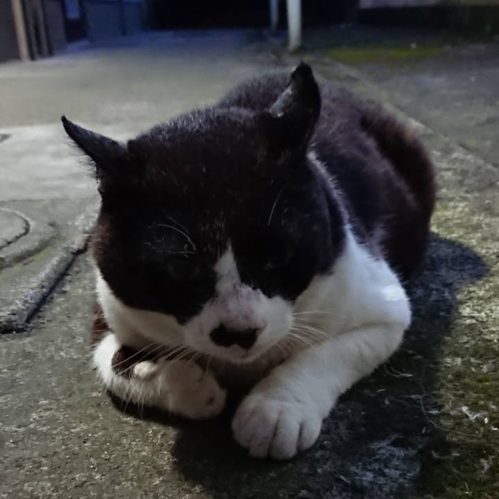 D5bbb263 e7f8 455a aad6 ac6babddb3e2 1656155594880