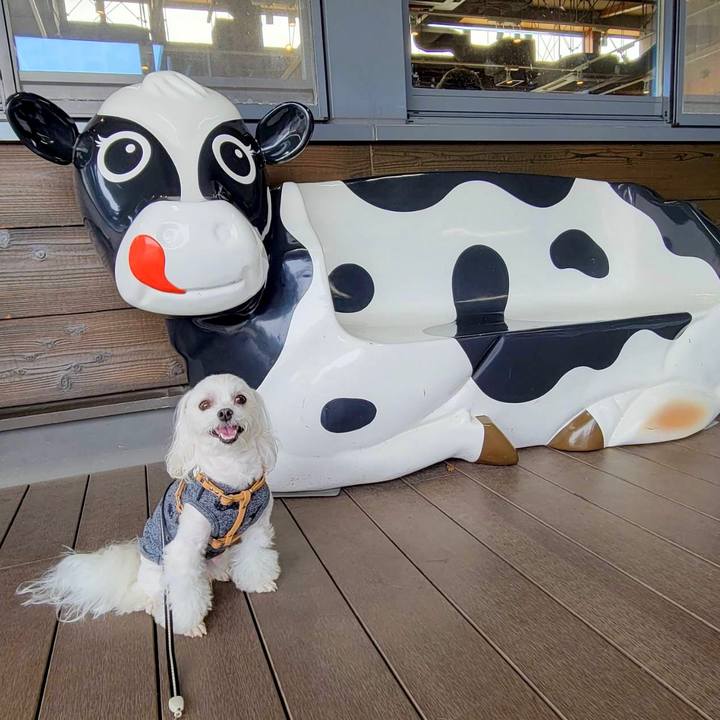 D5bc2604 c97a 4b68 8a01 4f958e57bbcc 1665543509482