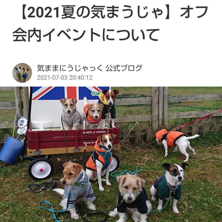 D5bc3f05 79e3 4703 9897 730b6fd44d32 1625314134823