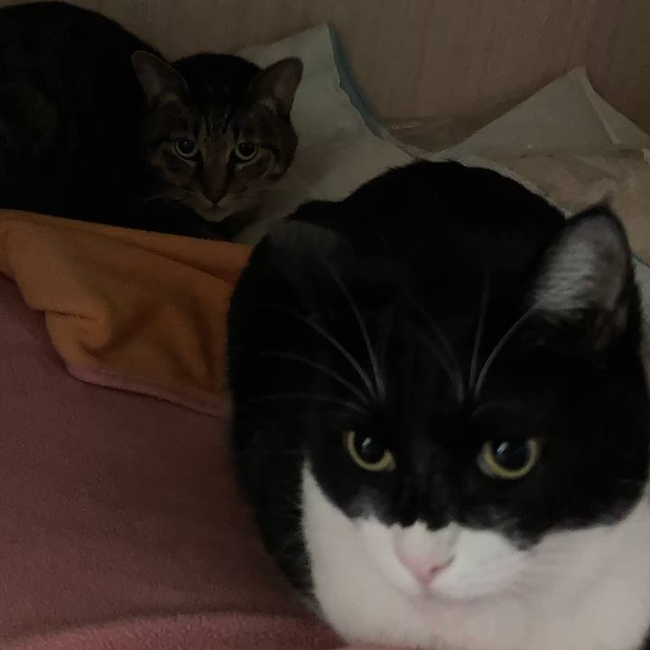 D5bc4316 5809 4bc4 9581 b8a4812bda6a 1638856585649