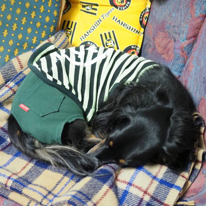 D5bc6956 e259 425e b969 bb8a327b9f0f 1631520409039