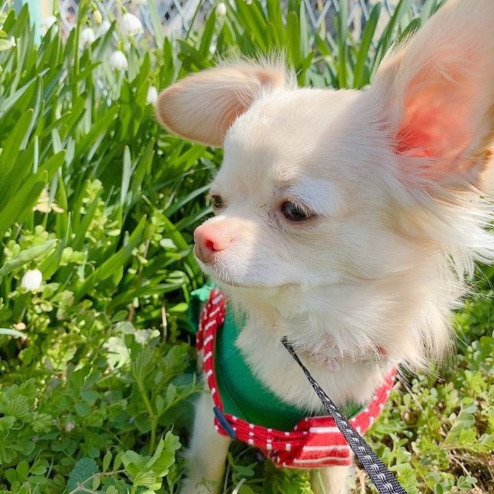 D5bc8c61 e667 4d5f 9b65 fac922224b14 1615379755923