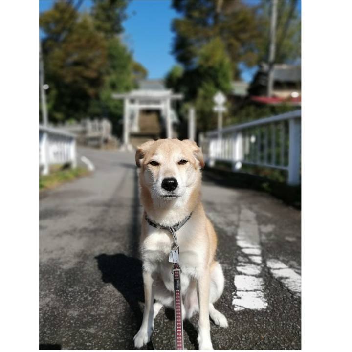 D5bca670 bcf9 4ae0 9978 c80d76ddde21 1572400015506