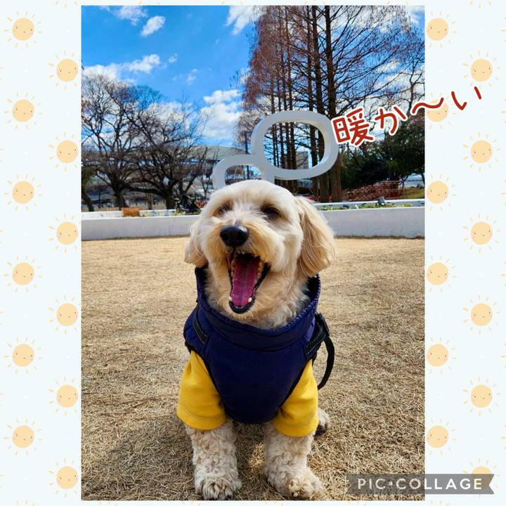 D5bcaf6b 9b3c 4bb2 a090 2e9a07e71b7e 1770290710291