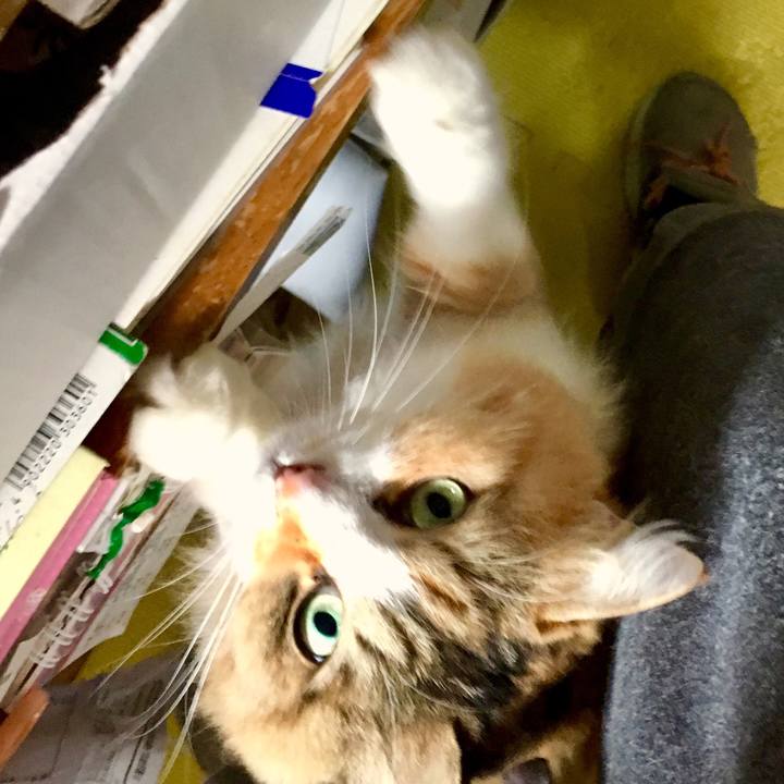 D5bcd250 efbe 4e97 b78e 08847f9e0c6b 1555106902644