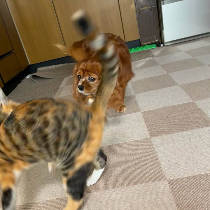 D5bce023 ad15 4970 b16f ca35e2afd4af 1665613781009