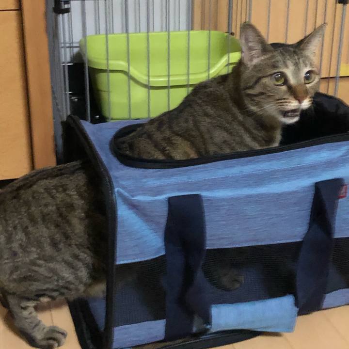 D5bcec99 e5d3 43a3 a79d 6c1e07ccc4c2 1595731209596