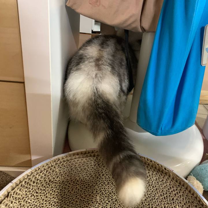 D5bd1dc2 a59d 46e3 bae4 0263f48e956a 1705219798426