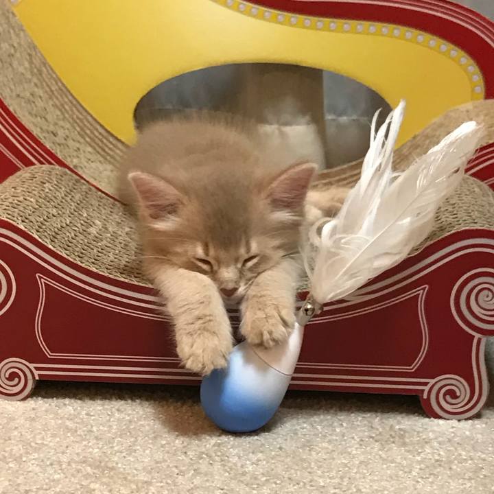 D5bd9f29 255c 4f04 894f 5ea09af04b61 1538032148620