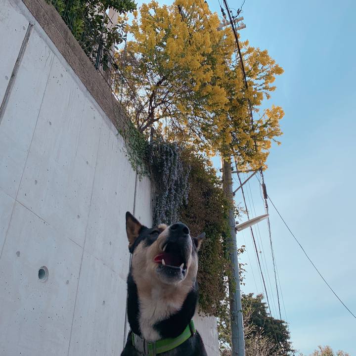 D5bdb487 985f 468d a4d9 566cc39e55e5 1553475963808