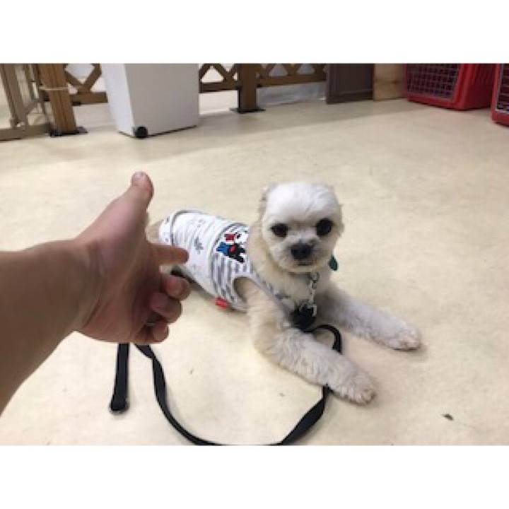 D5bdb505 5ef0 4904 8de6 cf8e577b06ca 1563578933601