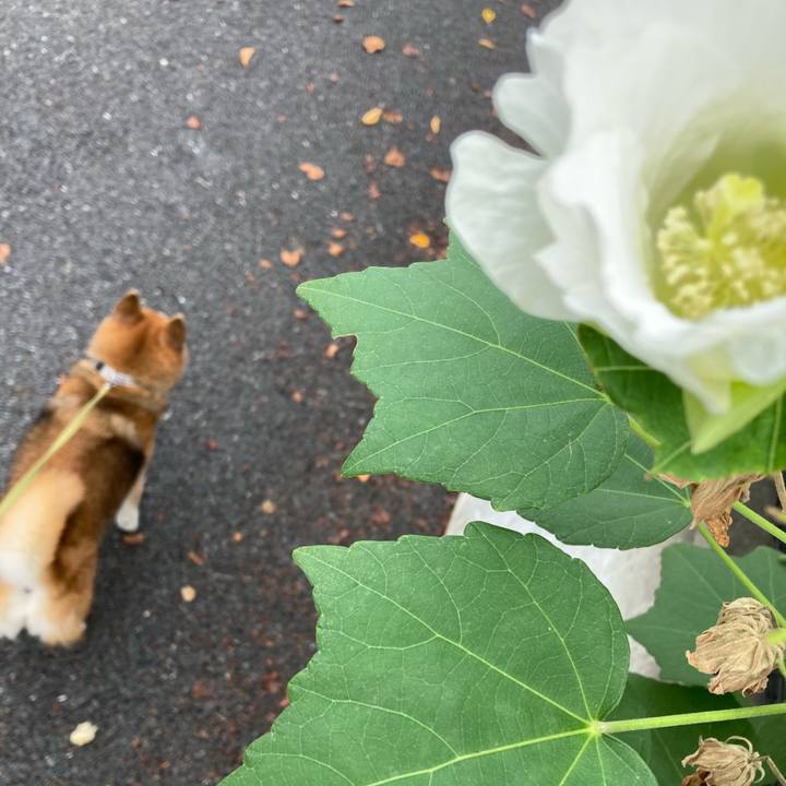 D5bdc991 5296 487b b45d dcc166432990 1696485952908