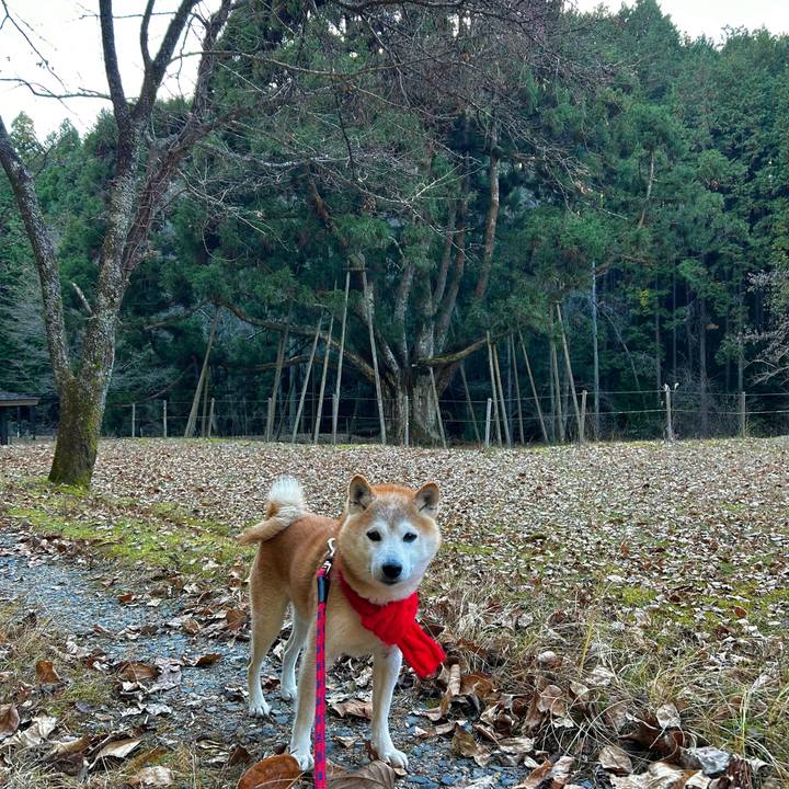 D5bddd11 2c5d 4705 a649 430ae0ac116d 1765537070698