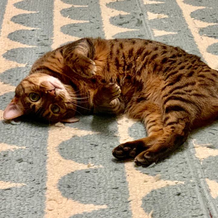 D5bdef50 7cce 4f31 97fd 38247a81ed9c 1548126772490