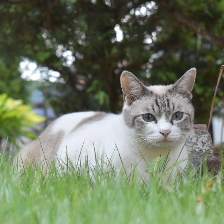 D5be0df0 6fe3 4551 8424 c6470c356c87 1533948580802