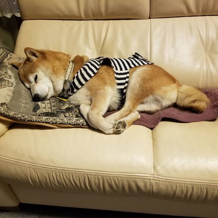 D5be26d9 688d 4793 ad9c 4b98fb0ef2f7 1643021293040