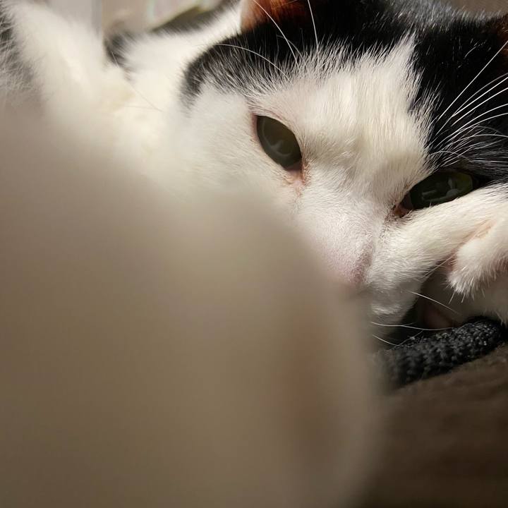 D5be590c cd94 4509 884a fb067c16ed6b 1582629013227