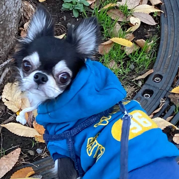 D5beb8f4 c1f3 4781 a29d 18b4f7a730b5 1669474726570