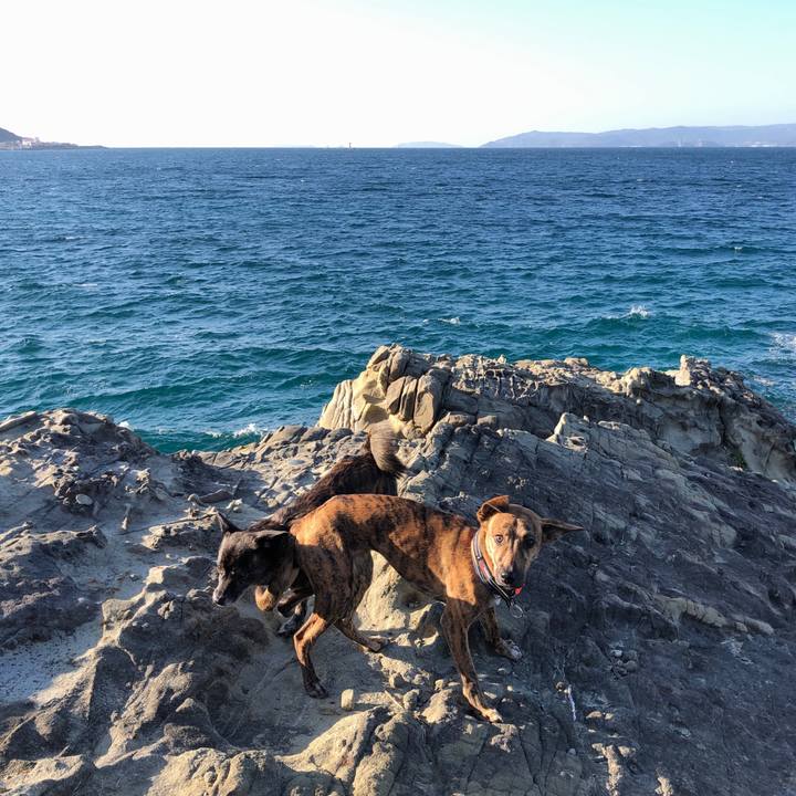 D5beca9f bb3b 433e 9e9b 875e4dbefcd0 1583311242566