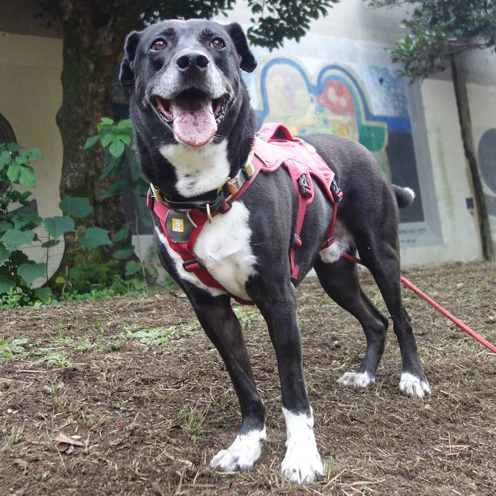 D5bfc0a6 bc5c 4e76 84e1 2824c6e9ad5d 1697244005108