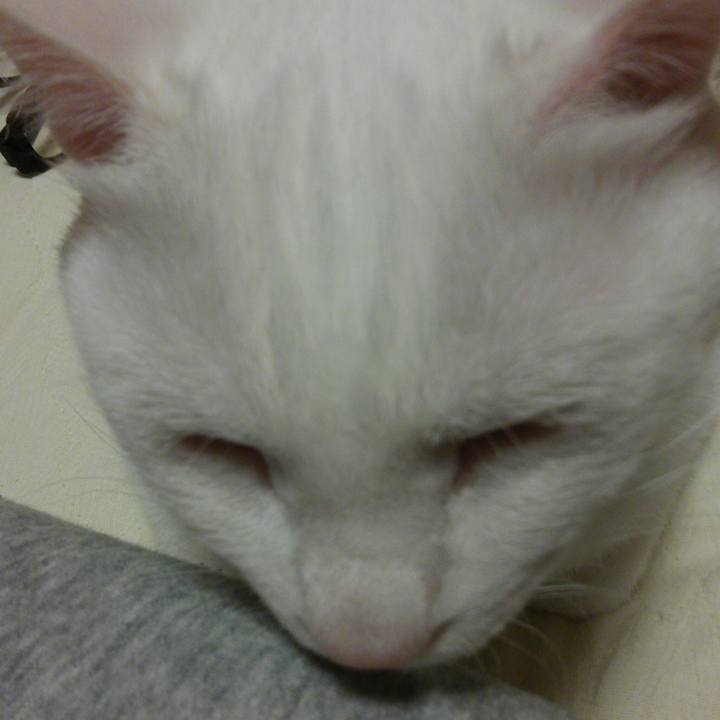 D5bfd81d 55ae 4fd5 9513 e8819ffdc248 1528030639742