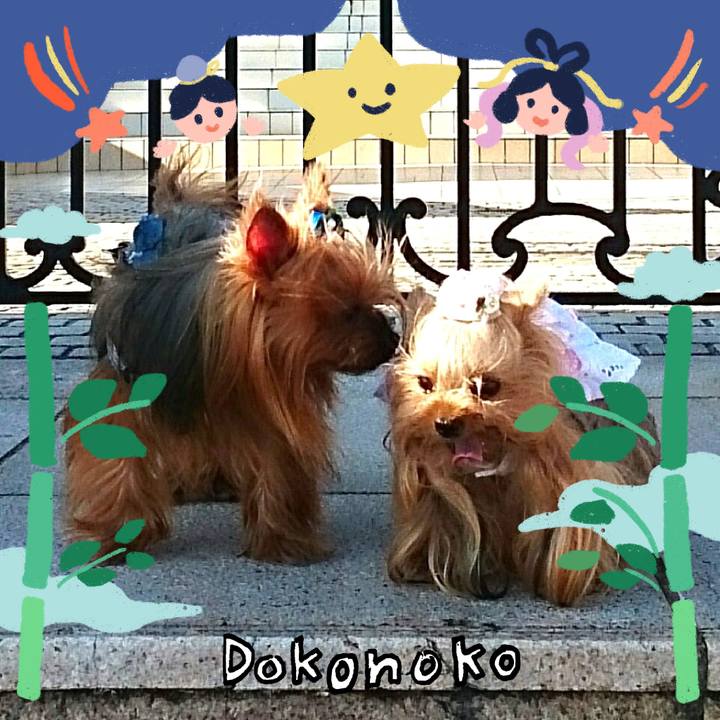 D5bfe1c7 42cf 4260 9f80 3ef2833c401f 1720777230875