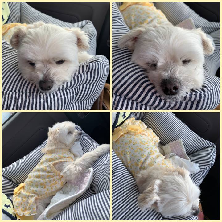 D5bfe5c8 480a 438e 9f7b f541d2da5669 1616237058887