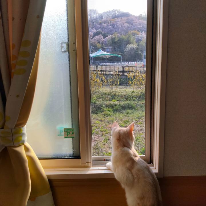 D5bfeee4 1433 4d08 9a95 97fb57a31f83 1649283710851