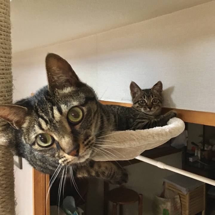 D5bff090 04b2 4596 9589 31bf0fb9885d 1531208997932