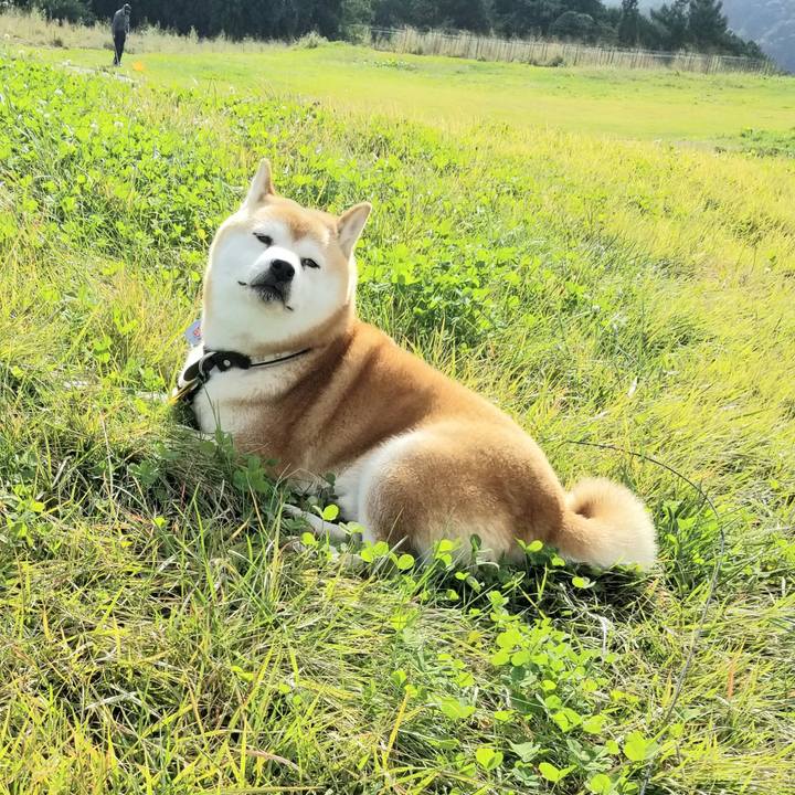 D5bfff12 9bd6 49b9 9bf9 6d9523adcc18 1601961247433