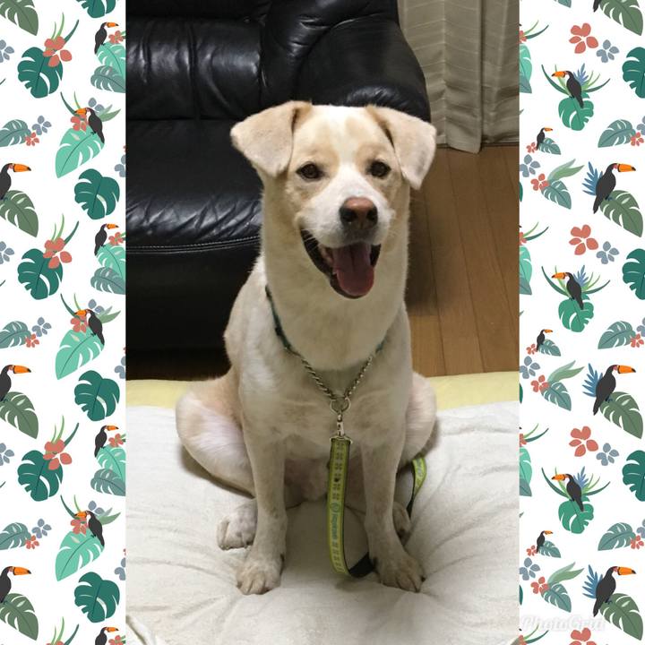 D5c01c4a 708c 4353 b426 0412f7a013b4 1531842285468