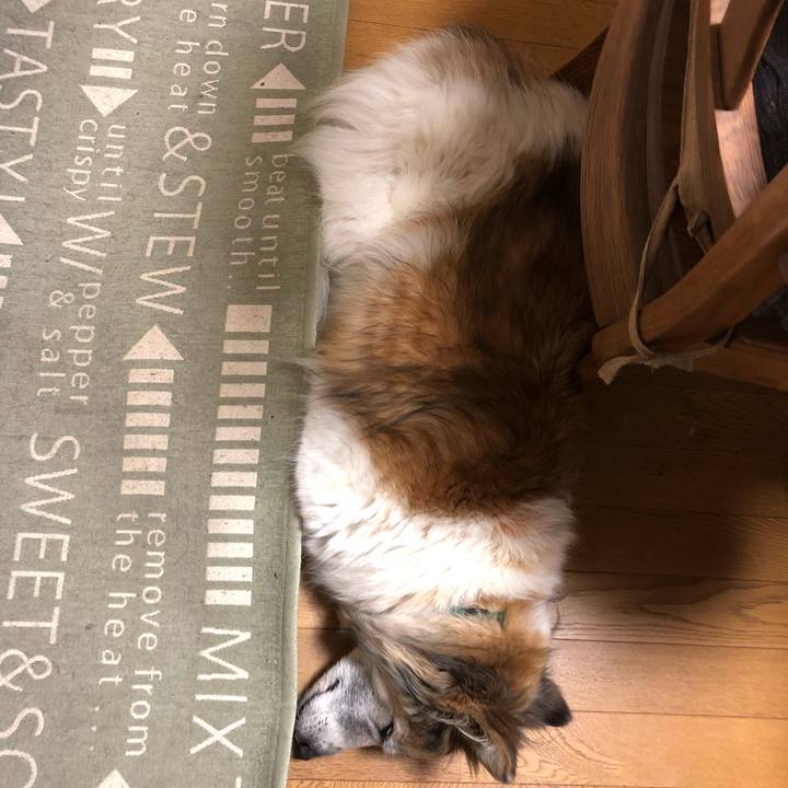 D5c02a5b 0afa 4920 bab5 84344f0dea48 1585362733669