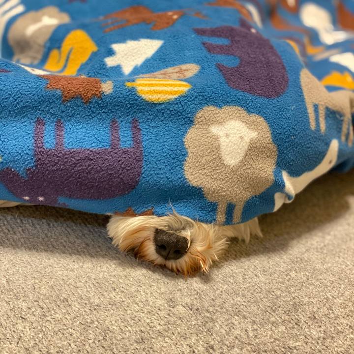 D5c03ec8 88f2 438b 99c2 cd23d8c95921 1613836124317