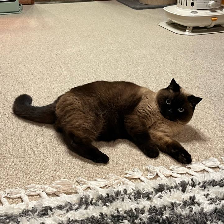 D5c03f90 e5dd 4ca8 9cb6 151bc5952870 1678170065986