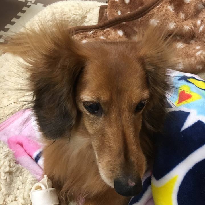 D5c062bf 33c2 4d80 a8c8 f740377ea8fe 1546958662296