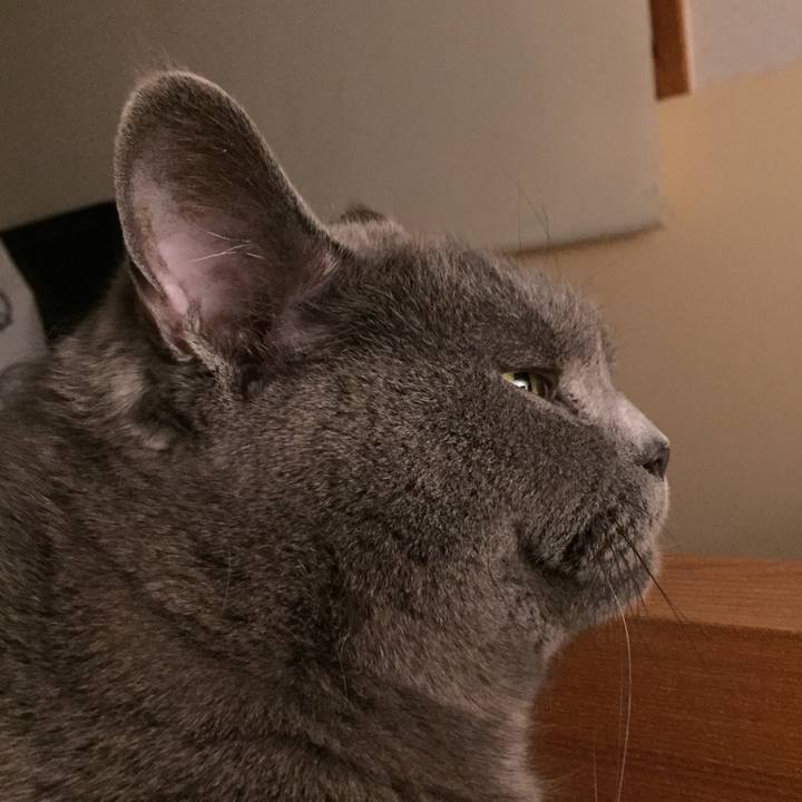 D5c067f6 1f4e 4a94 81a1 1926df42c921 1528719459788