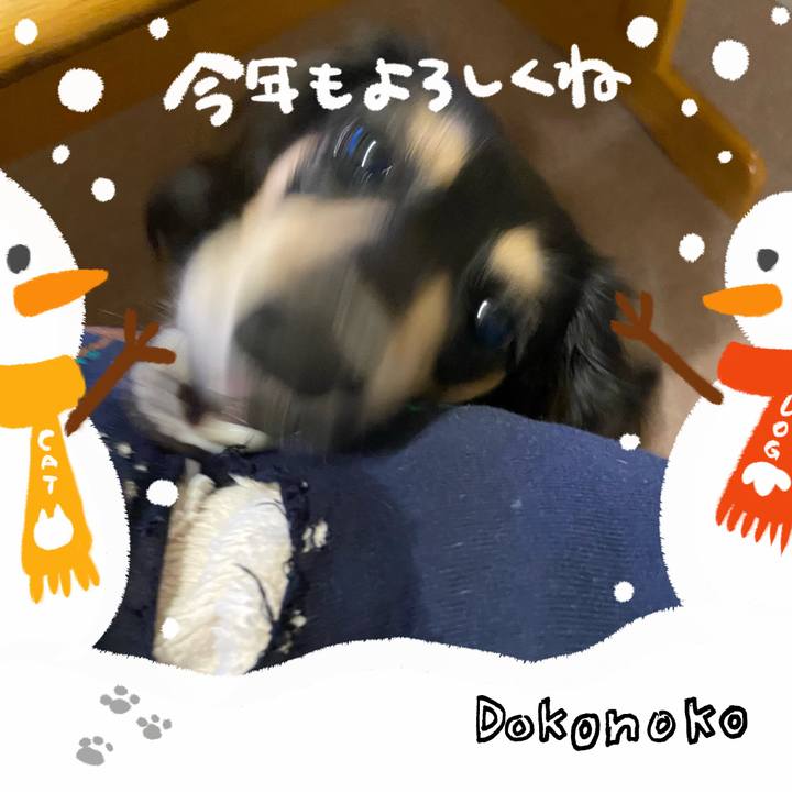 D5c07201 1c1f 4d03 814d 220f1fdbca22 1704069566633