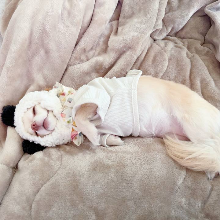 D5c07a87 189c 479a 8a87 53f8d6dd6bcd 1687405358209