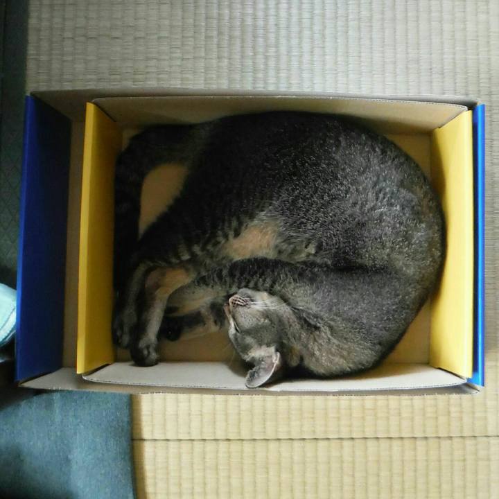 D5c08f4b 96f5 466c af72 f97a8534dbc1 1536367595447