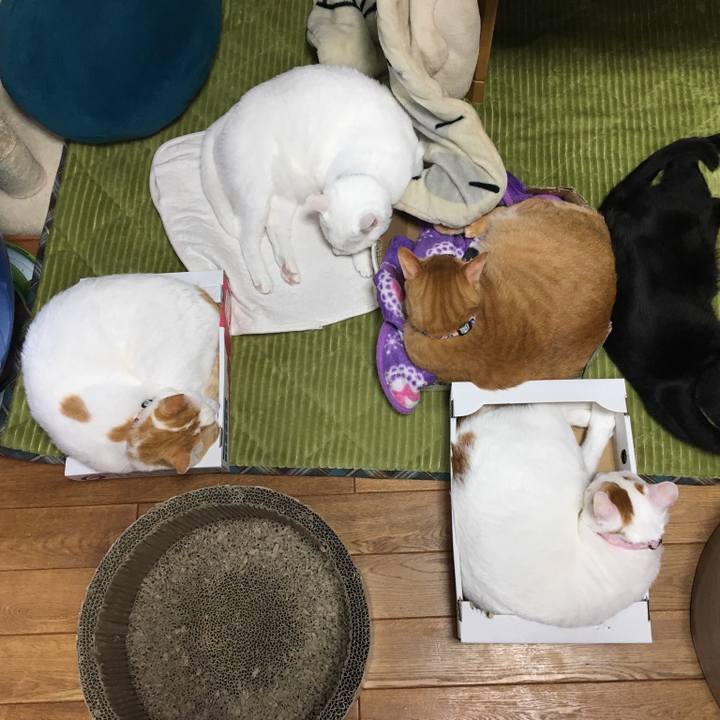 D5c0b099 e9ed 4345 b85c 1d0722964fca 1547294051206